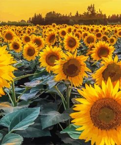 Summer Field Of Sunflowers Paint By Numbers