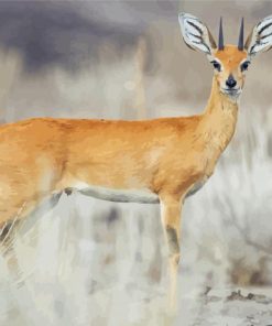 Wild Steenbok Paint By Numbers