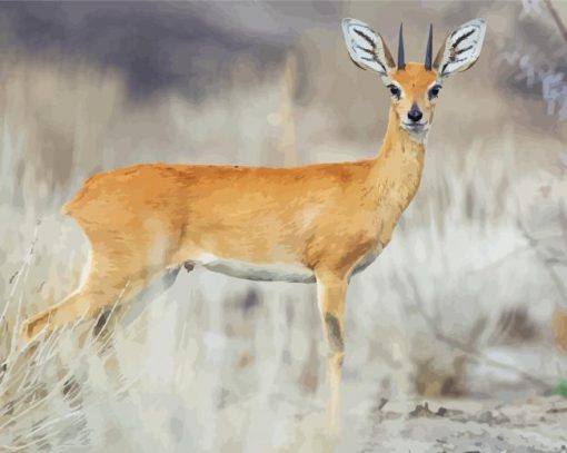 Wild Steenbok Paint By Numbers