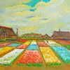 Bulb Fields Van Gogh Paint By Numbers