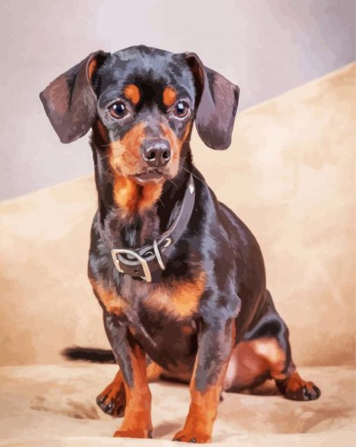 Brown Chiweenie Dog Paint By Numbers