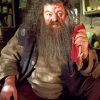 Rubeus Hagrid Paint By Numbers