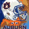 Auburn Tigers Team Pride Paint By Numbers