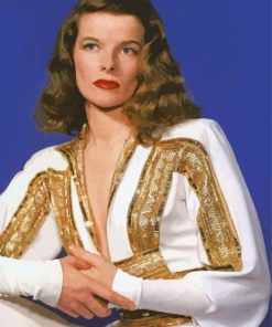 Beautiful Katharine Hepburn Paint By Numbers art