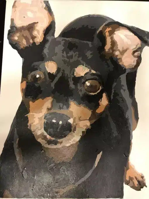 Paint By The Numbers Custom​ Pets gallery img 2