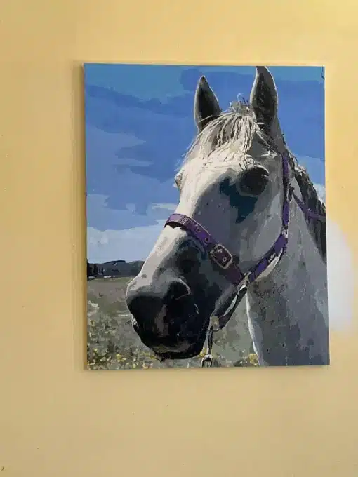 Paint By The Numbers Custom​ Pets gallery img 3