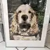 Paint By The Numbers Custom​ Pets gallery img 4