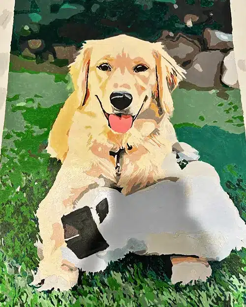 Paint By The Numbers Custom​ Pets reviews 1