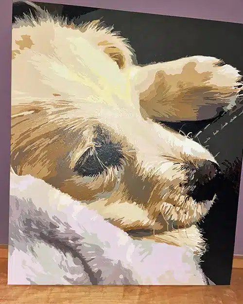 Paint By The Numbers Custom​ Pets reviews 6